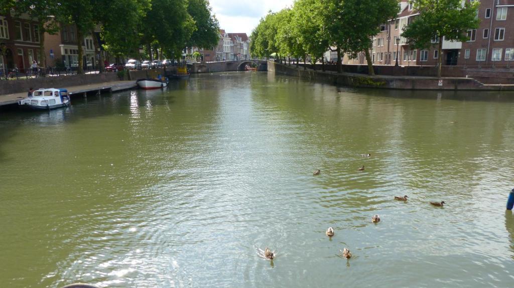 Aan De Singel Van Bed & Breakfast